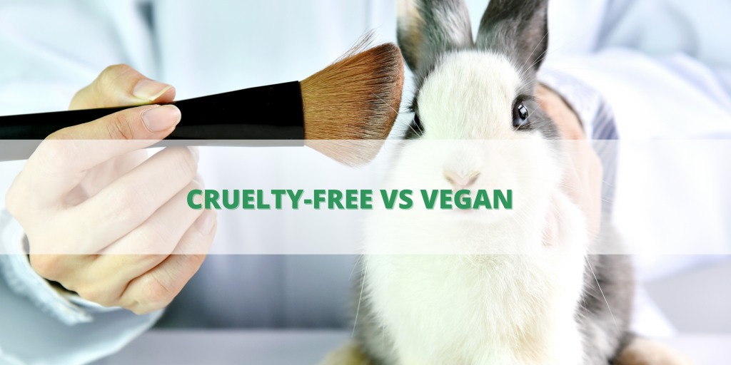 An image of a scientist testing a makeup brush on a rabbit and the words "cruelty-free vs vegan" as the primary focus