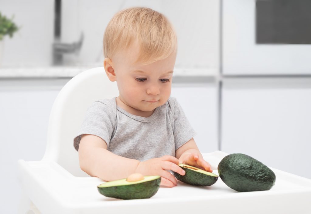 A baby in a high chair holding a sliced avocado piece with a whole avocado nearby. Avocados are some of the best baby foods. 