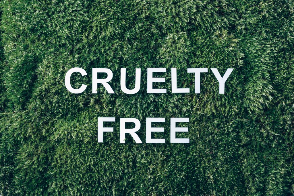 Cruelty Free written against a mossy background. Cruelty free skincare and makeup products have become quite popular.