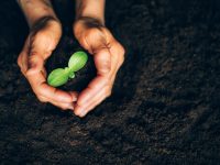 What Is Sustainable Living? | 5 Sustainable Living Tips